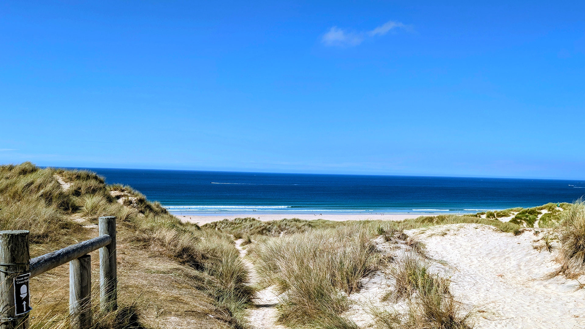 Spring Awakens Cornwall: Best ...