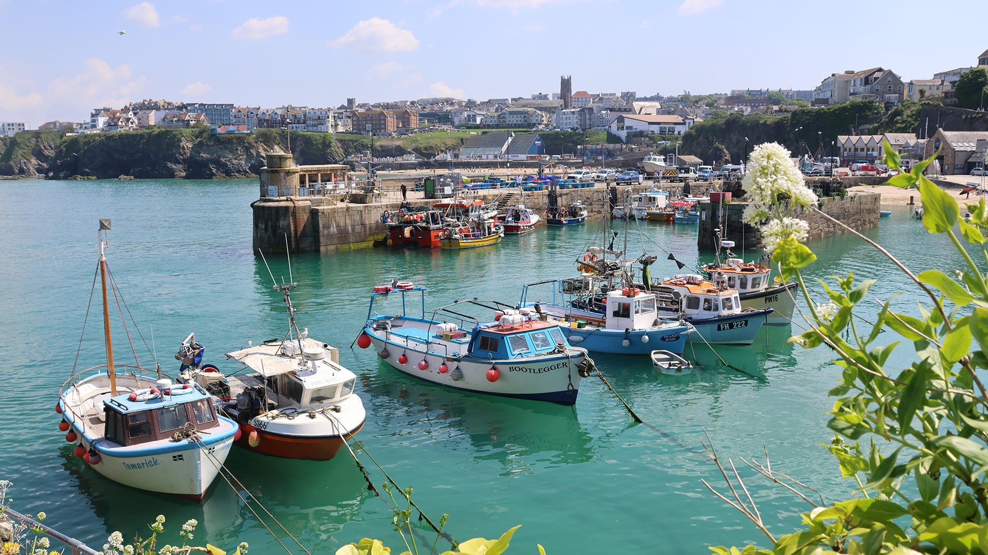 Newquay Food Festival 2025 Bri...